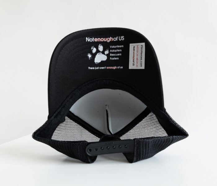 i Fostered – 5-Panel Cap (Black) - Image 4