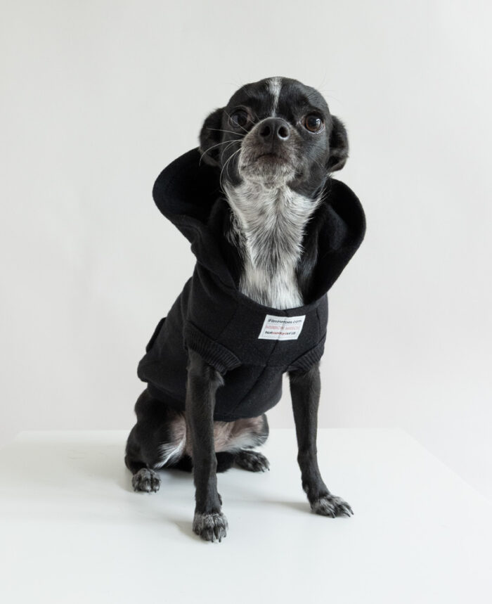 Not Enough of Us – Pet Hoodie  (XS 2-5- lbs)